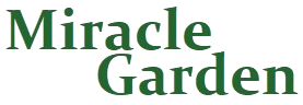 Miracle Garden